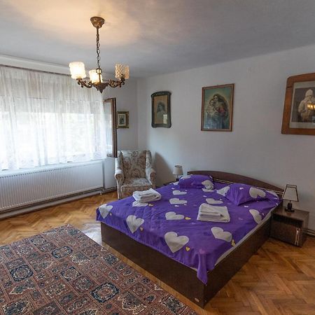 Doi Bujori Apartment Alba Iulia Ngoại thất bức ảnh