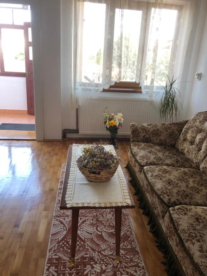 Doi Bujori Apartment Alba Iulia Ngoại thất bức ảnh
