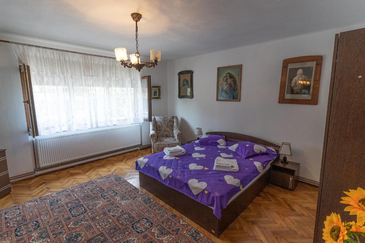 Doi Bujori Apartment Alba Iulia Ngoại thất bức ảnh