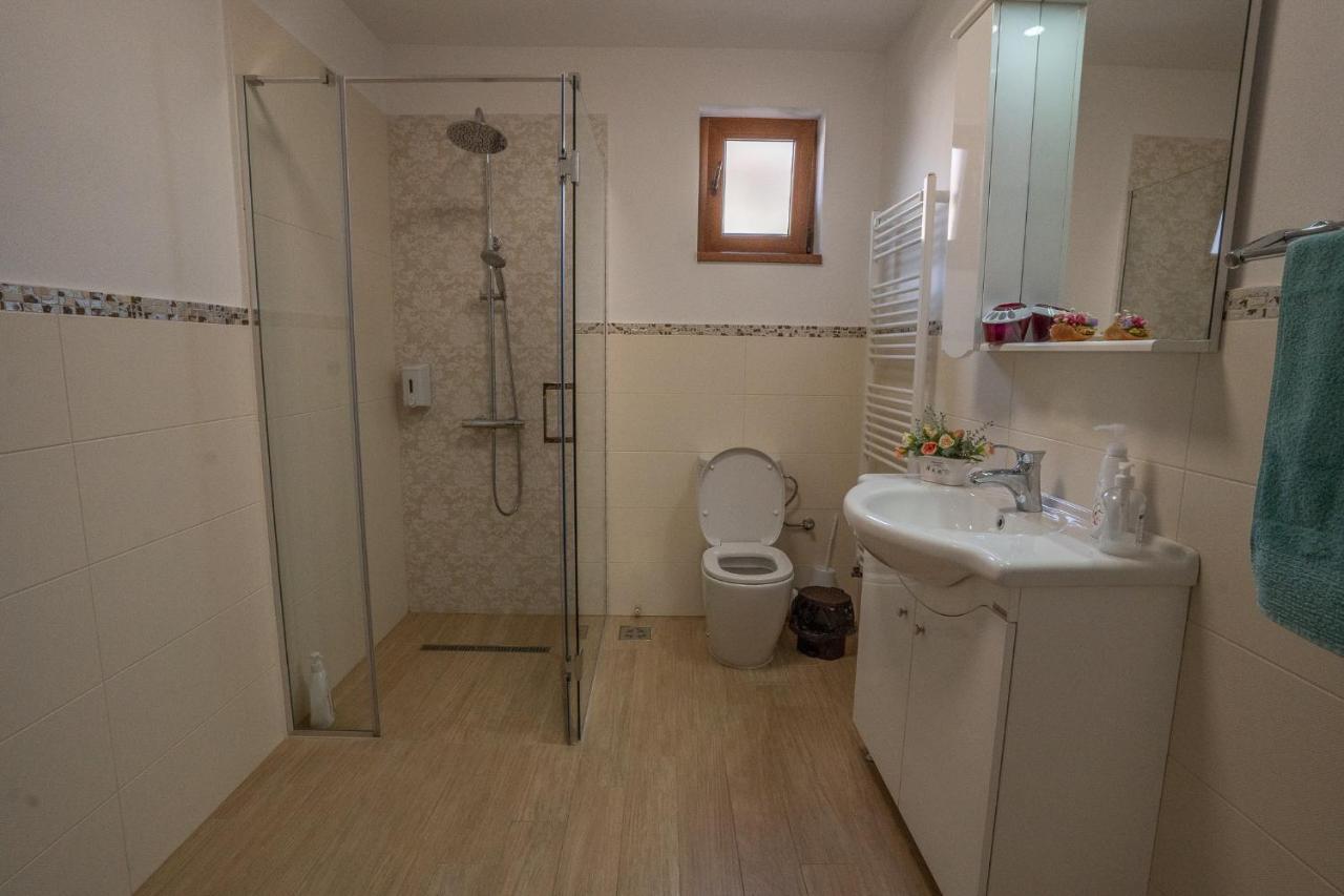 Doi Bujori Apartment Alba Iulia Ngoại thất bức ảnh